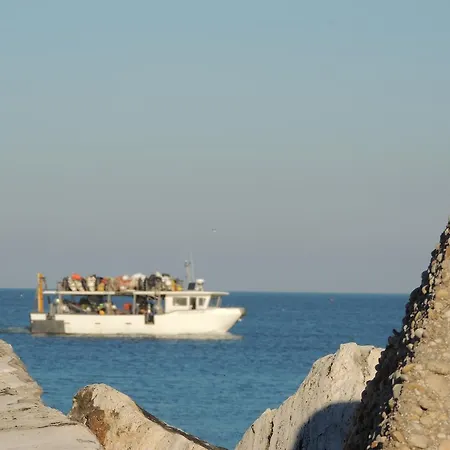 Bed & Breakfast Casello Km313